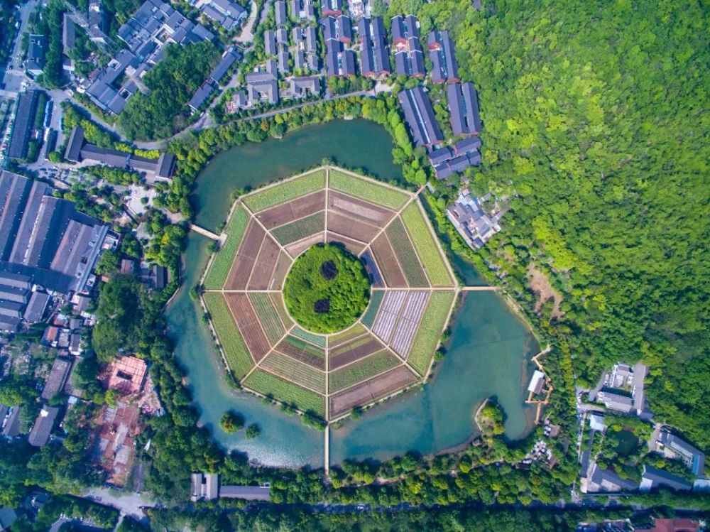 徐晖 摄 八卦田景群位于杭州西湖风景区东南侧玉皇山南麓,占地约150