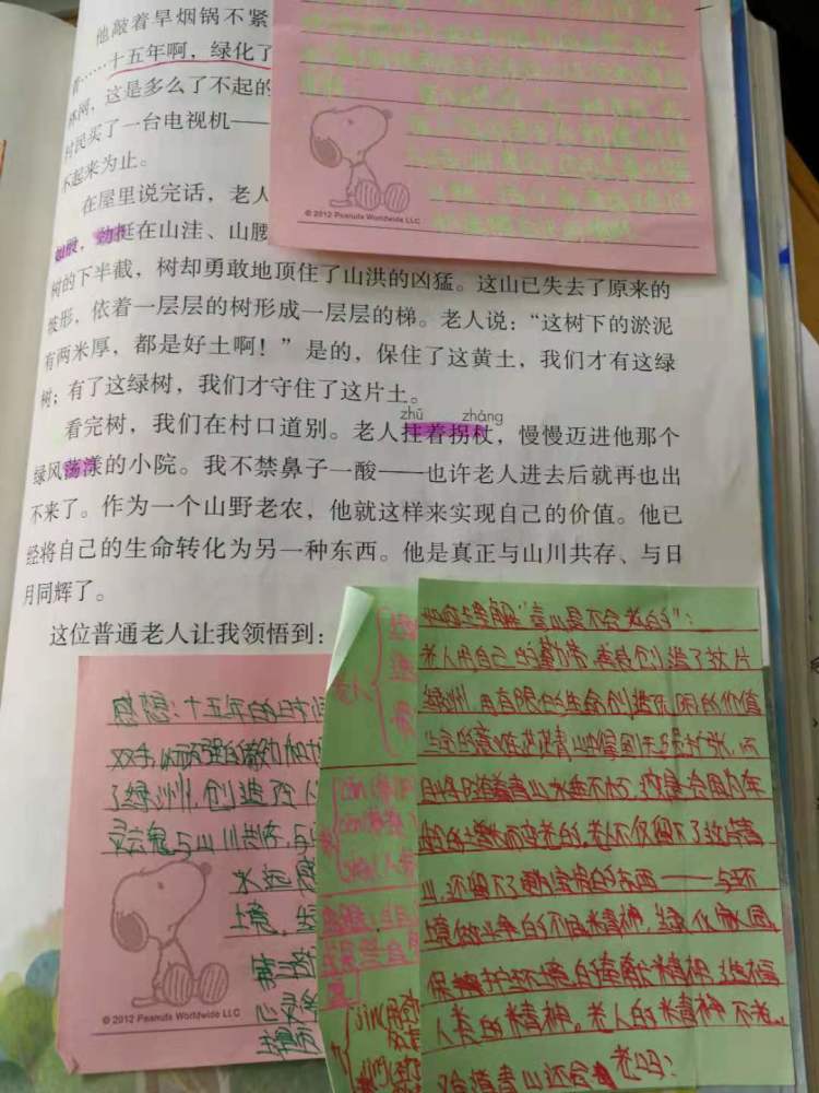 这位学生充分利用了便笺纸来做笔记,层次分明,方便阅读和复习.