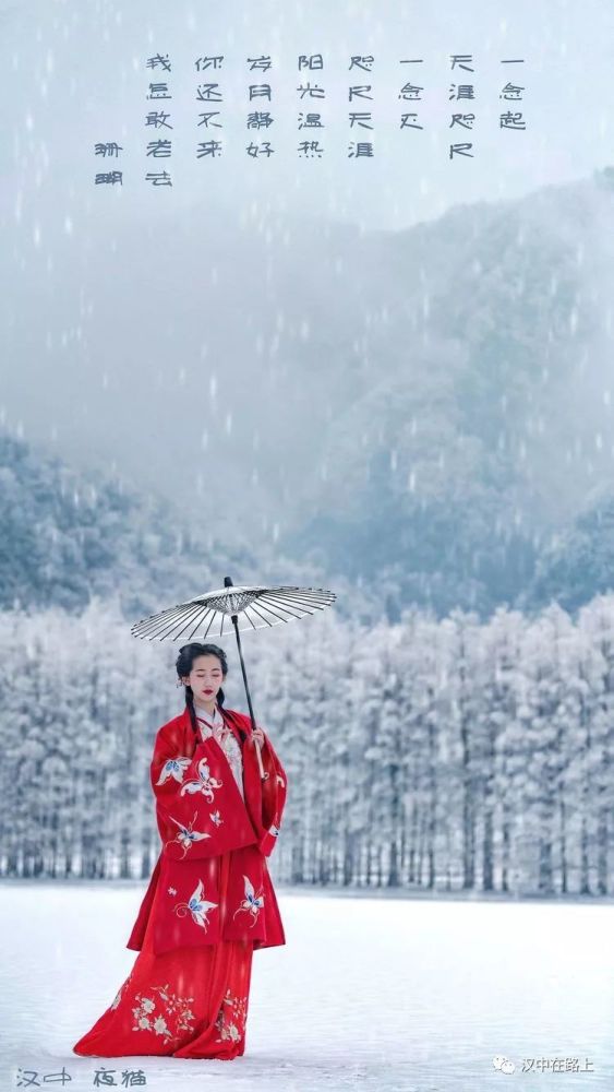 似鹅毛一般轻轻飘落 这一场久违的雪 标志着冬天观雪景的正式到来