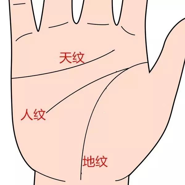 手相,手掌,面相,阴阳
