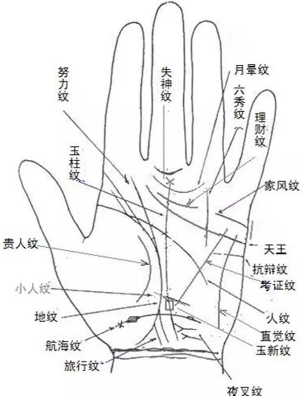 学手相基础知识