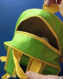 搞笑gif趣图:每一个成功的女人,脚底下必定踩着备胎!