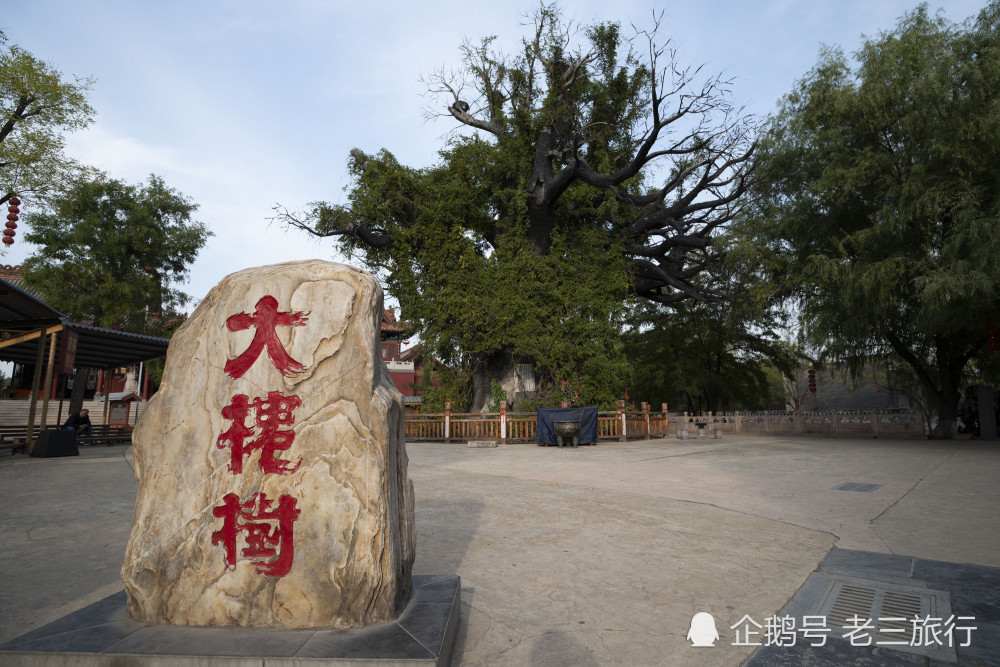 洪洞大槐树景区.