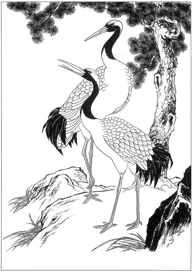 工笔仙鹤高清白描线稿图片