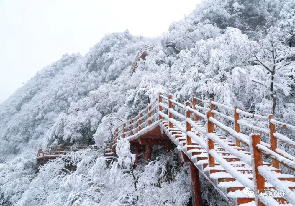 八台山,冰雪节,万源市,景区,门票,达州