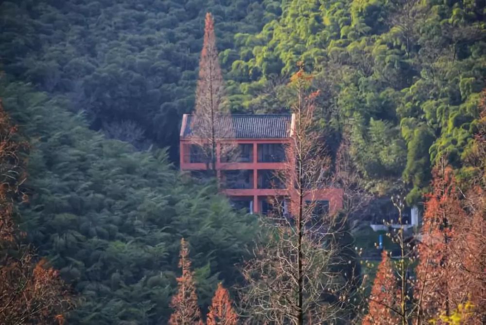 除了两株古枫,现在在莫干山上,旭光,云逸,清凉,观瀑等多处亭台景点都