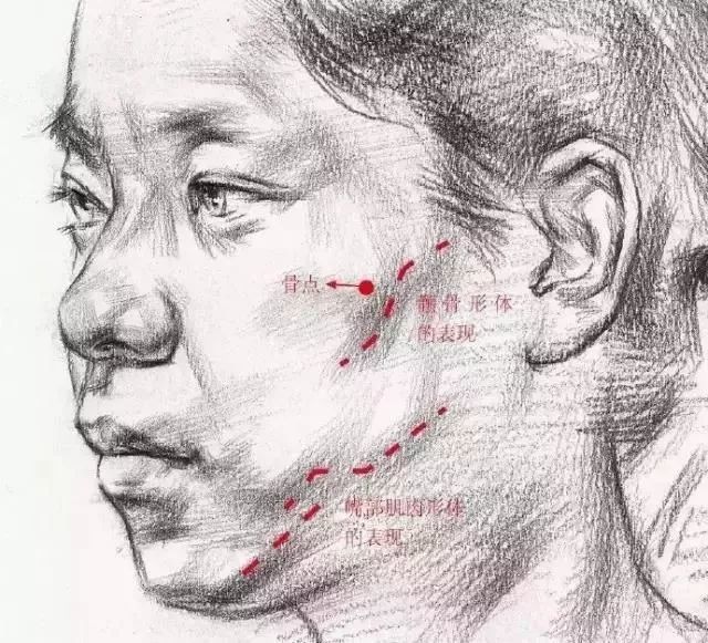 素描头像的面部结构与头发的表达你会吗?
