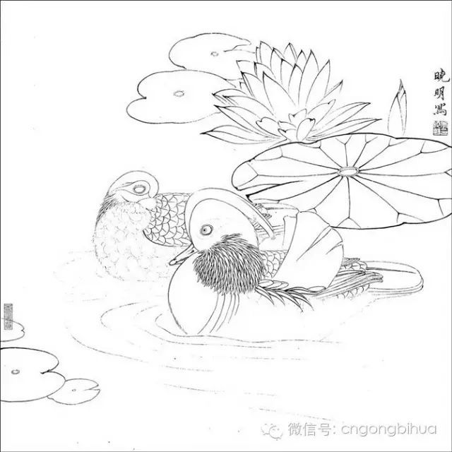 书画联盟 百花白描画稿