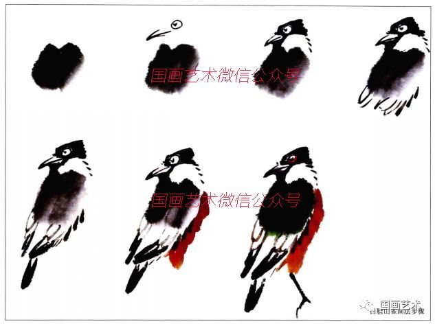 白脸山雀几种姿态画法