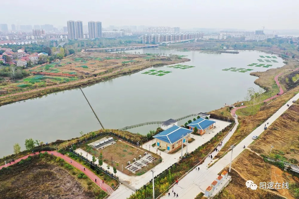 美丽的阳逻鄢家湖,我们来了!