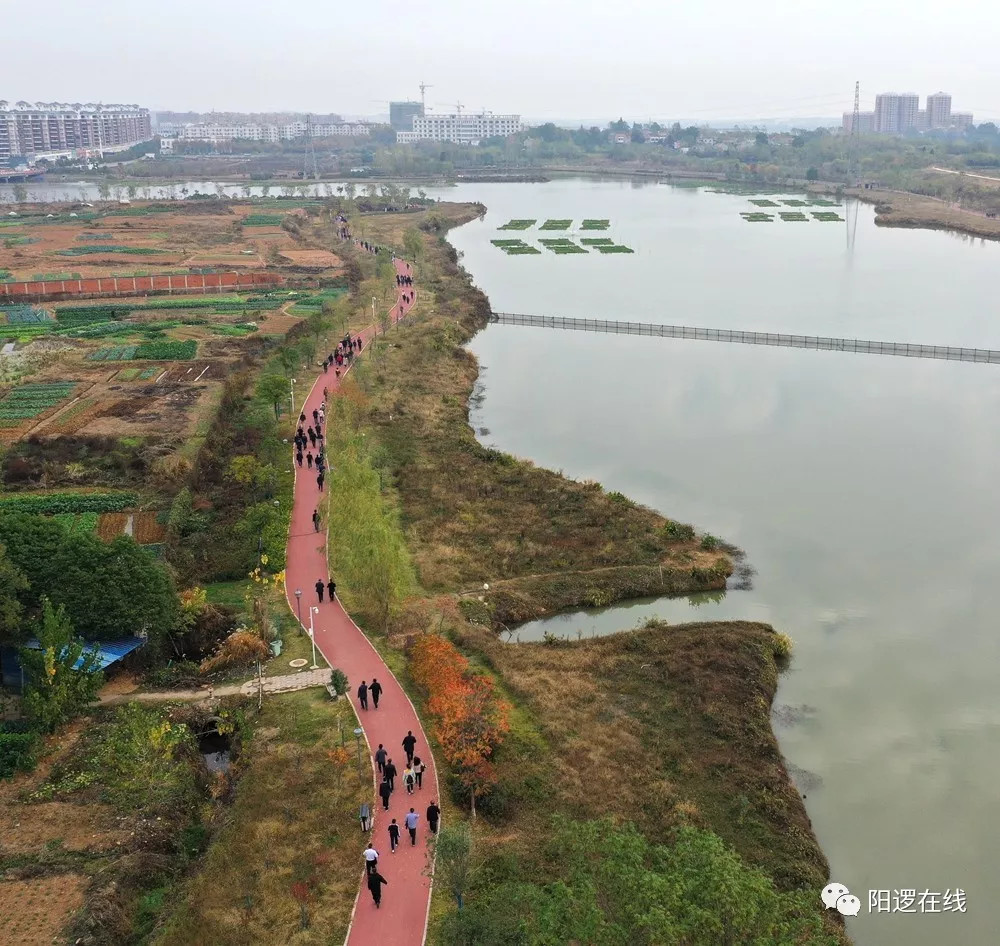 美丽的阳逻鄢家湖,我们来了!