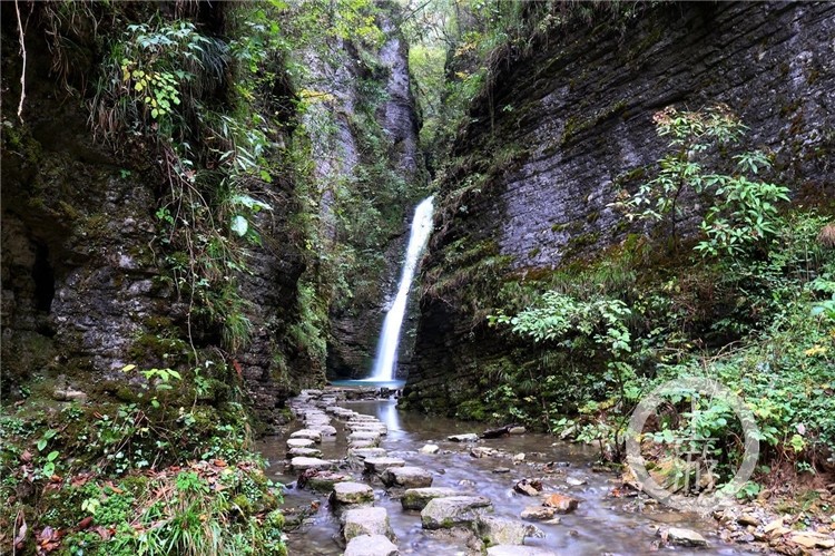 奉节县,旅游景区,龙桥河,4a,土家族乡,兴隆镇