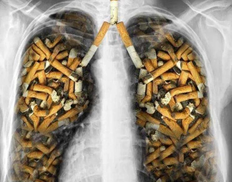 经常吸烟的人,点烟前谨记3句话,不戒烟,肺也会好受很多!