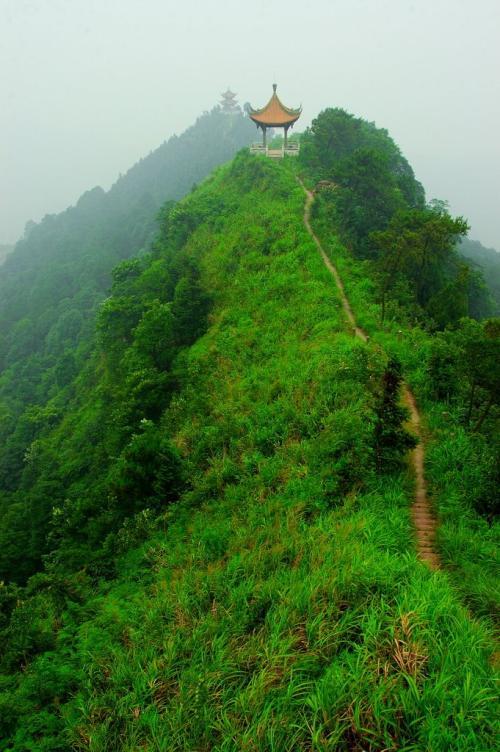《十面埋伏》外景拍摄地茶山竹海