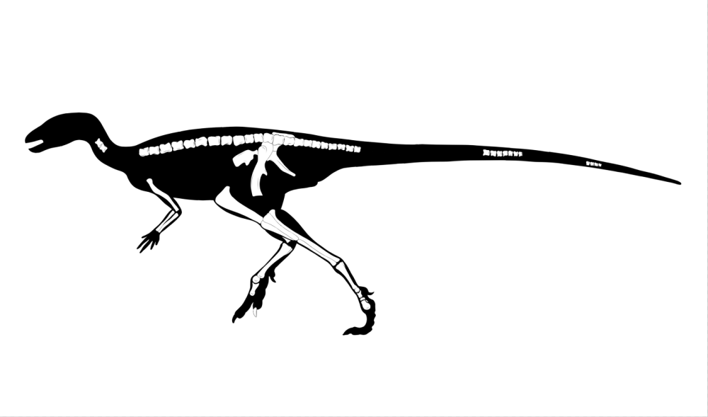 亚洲最早的新鸟臀类恐龙在重庆云阳发现