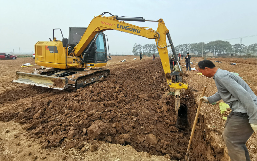 铁棍山药丰收 村民开着挖掘机刨土:1天能挖1亩多