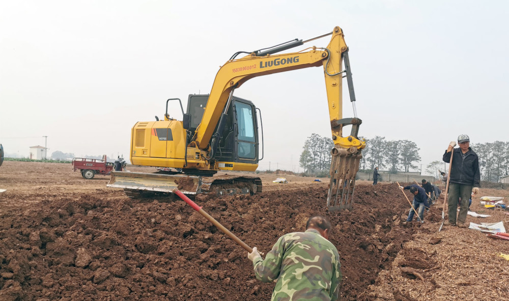 铁棍山药丰收 村民开着挖掘机刨土:1天能挖1亩多