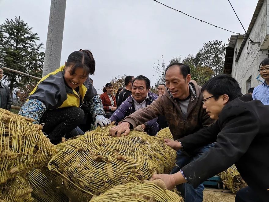 万源市,中药材,邓天福,贫困户