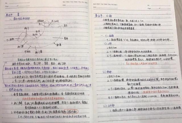 学霸们的课堂笔记,不仅知识点丰富,而且字迹清晰,让人