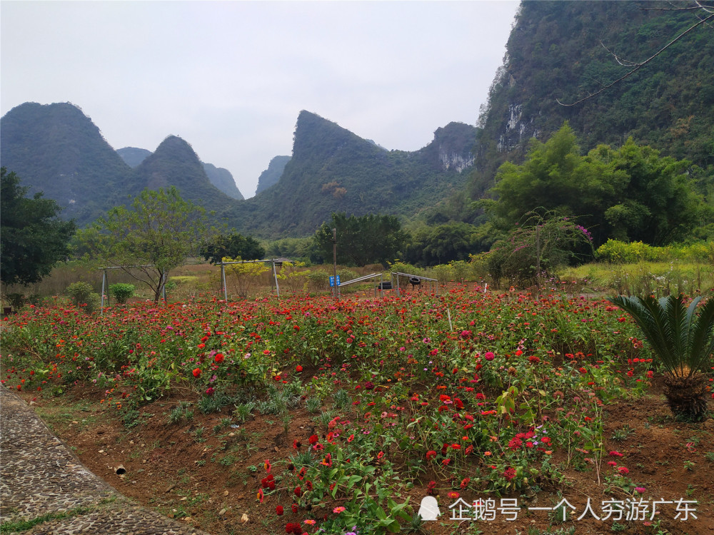 探访:广东怀集"世外桃源景区",原来这里早已荒弃