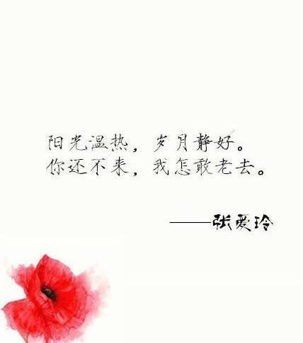 民国才女张爱玲经典语录,回味无穷,字字珠玑