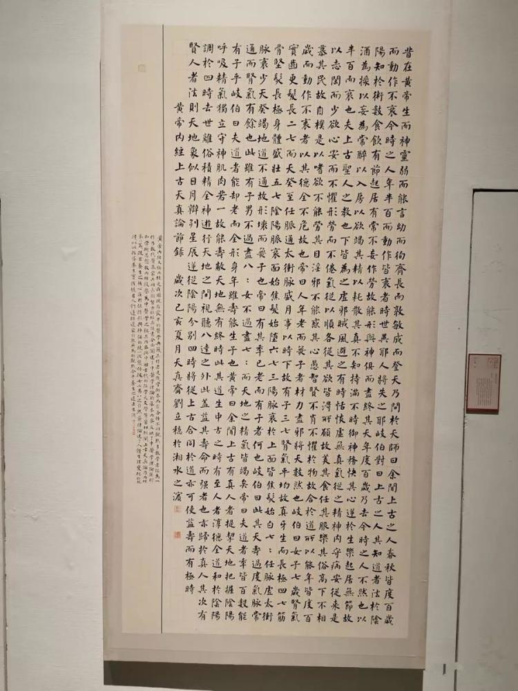 亮亮十二届国展的楷书