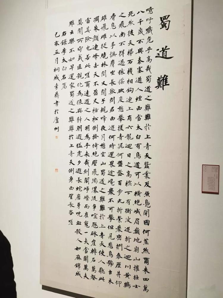 亮亮十二届国展的楷书