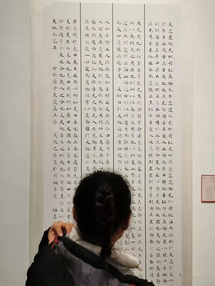 亮亮十二届国展的楷书