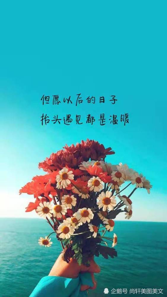 人生感悟,经典语录,励志句子