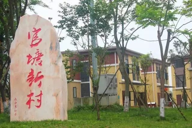 官塘新村正以崭新的面貌回应新区发展,别致的独栋别墅,艳羡他乡.