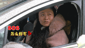 女司机接听电话 车子停在路中间