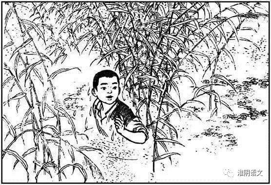 小英雄雨来