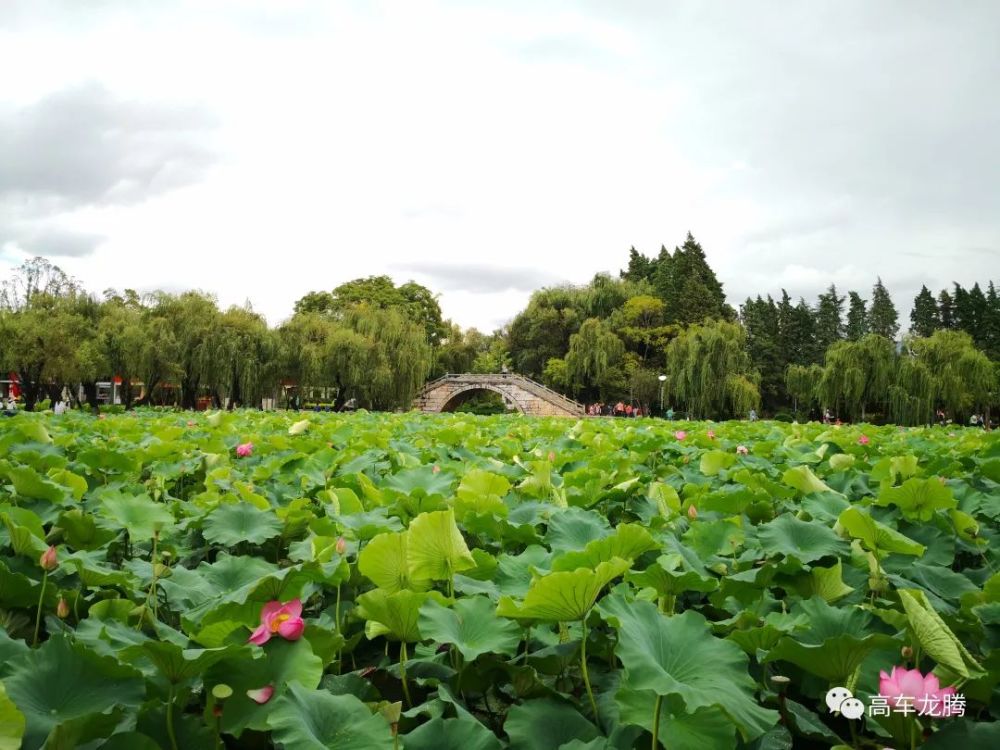 昆明 大观公园