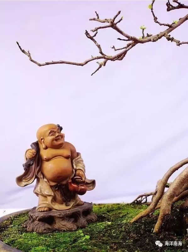 夜色中细细品味诗意慢生活的禅文化意境