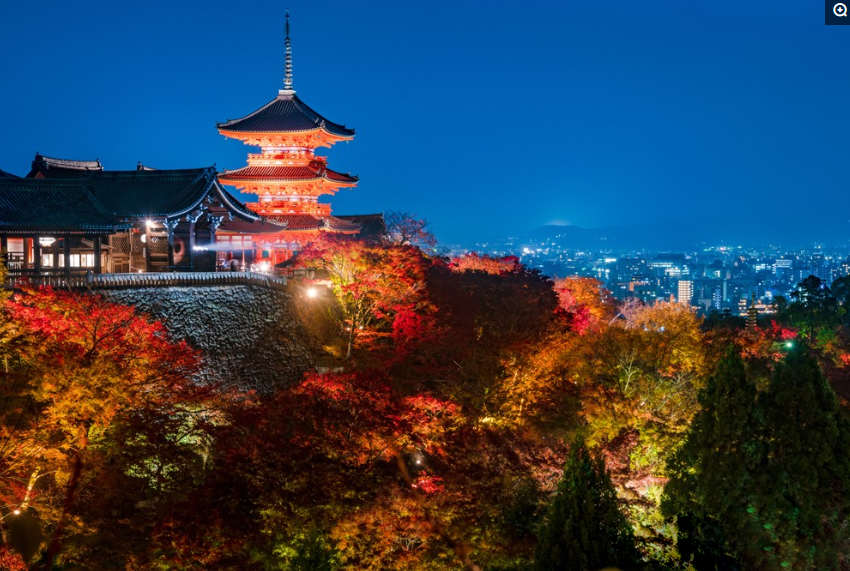 旅游,日本,景点,京都府,寺庙,伏见稻荷大社