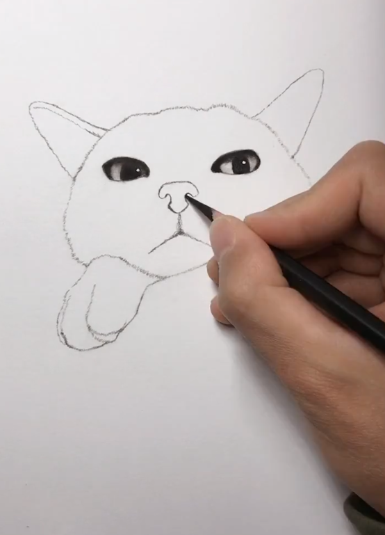 美术生铅笔素描"猫咪",开局一笔成形,要打脸了,看到成品,太可爱了吧!