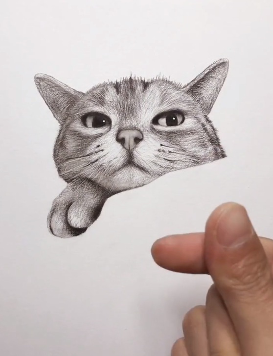 美术生铅笔素描"猫咪",开局一笔成形,要打脸了,看到成品,太可爱了吧!