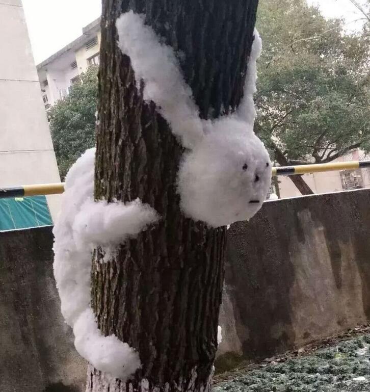 搞笑雪人造型,你家离雪花还有多远?