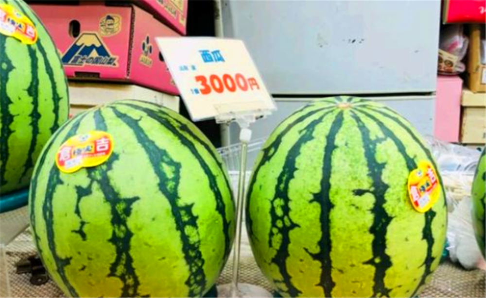 日本的西瓜卖的非常贵,为什么不进口中国的呢?