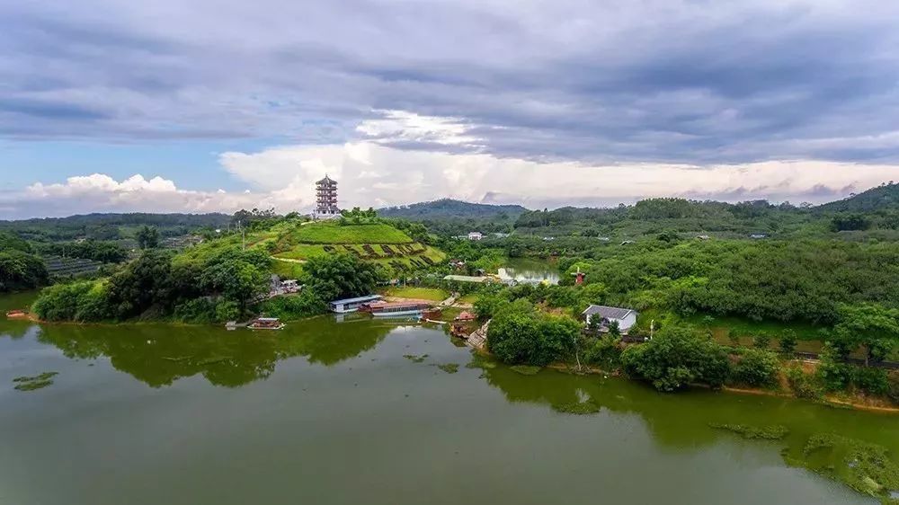 博白"观鸟圣地"将建玉林最长浮桥,江心观鸟将