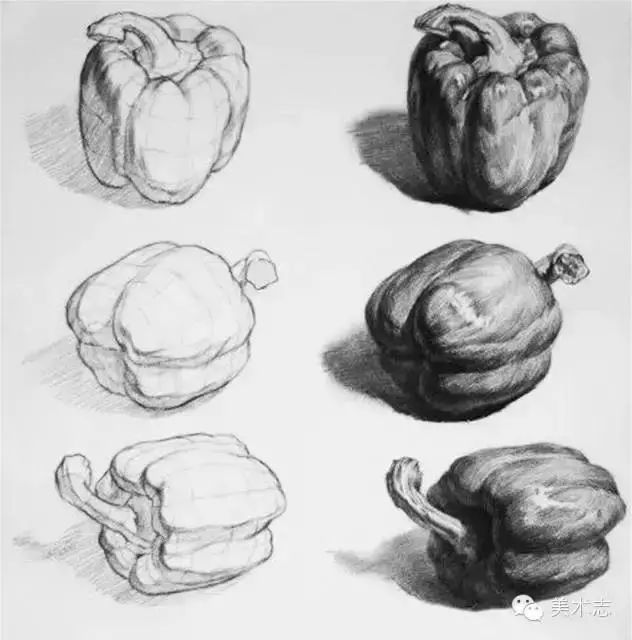 绘画 素描 静物常见的苹果你学会了吗?