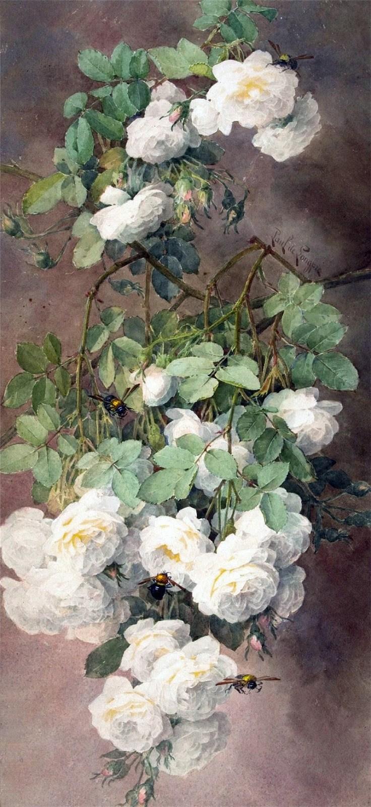 paul de longpre笔下花卉,19世纪法国水彩画浪漫经典之作