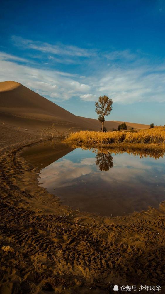 对生命的思考,对人类的想象