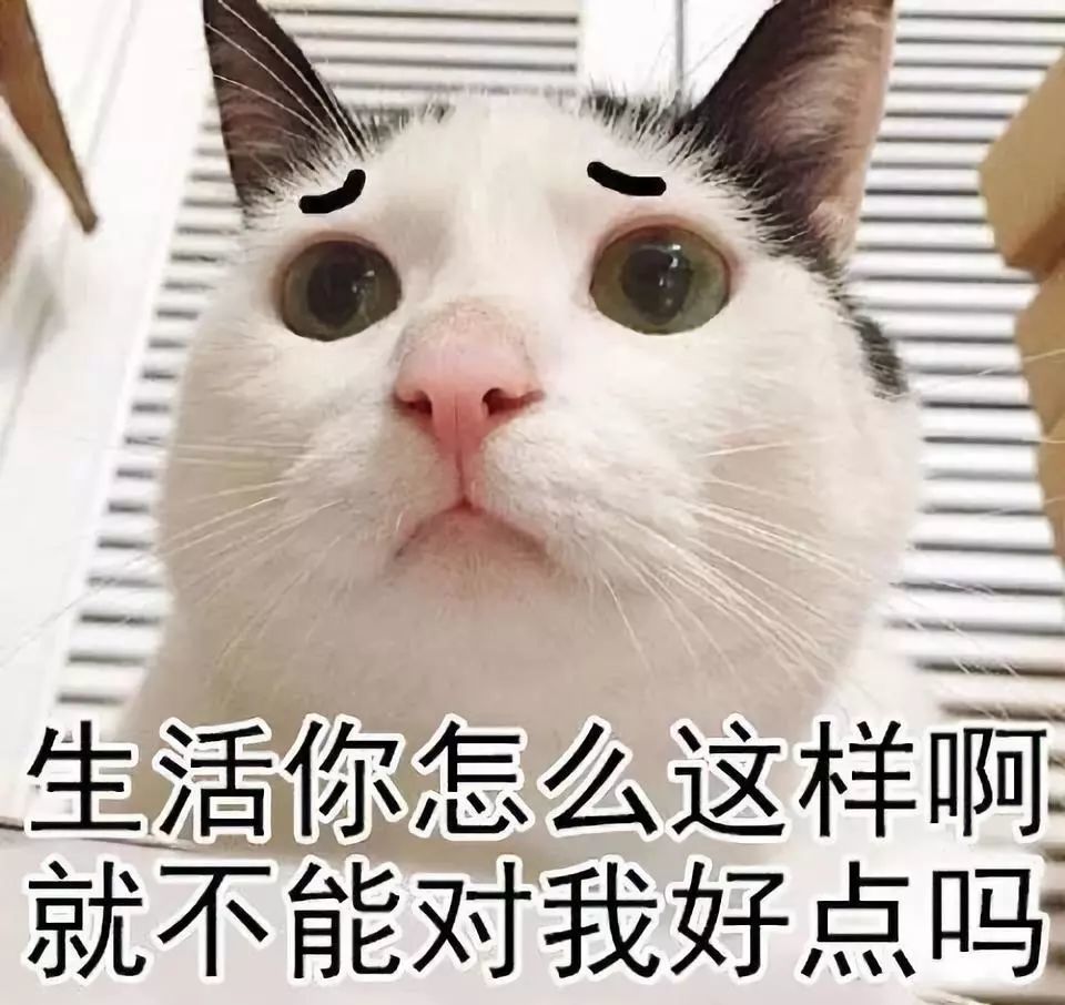 桥豆麻袋!先别叹气,这里有一份送给90后们的福利活动!