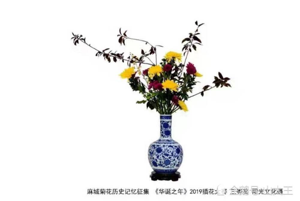 2019年麻城菊花"插花节"花艺大赛获奖作品欣赏