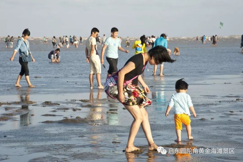 旅游景区,南通,黄金海滩,4a,启东市