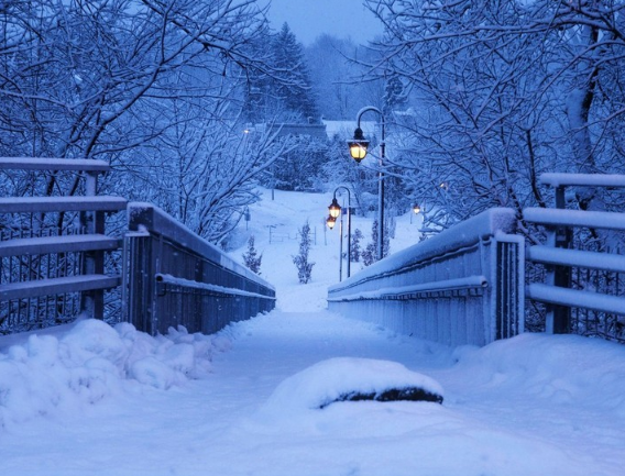 唯美冬日雪景野外意境壁纸,傲雪凌霜