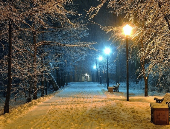 唯美冬日雪景野外意境壁纸,傲雪凌霜