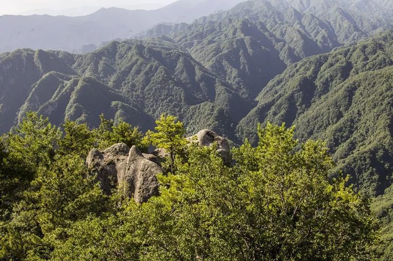 宝鸡天台山,鸡峰山,宝鸡,天柱峰,炎帝,自然景观