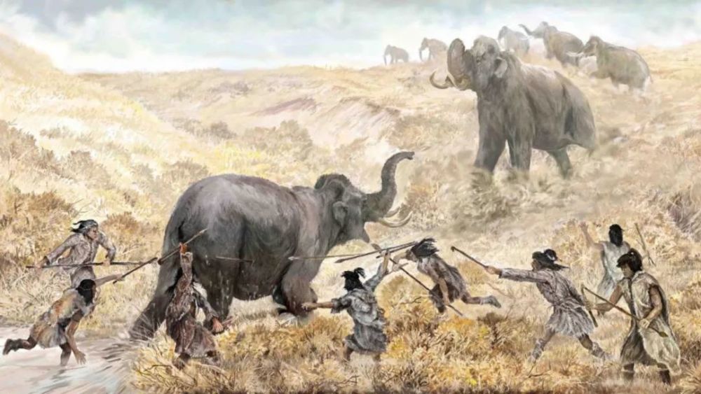 我们现在描绘的远古狩猎场景,常是古人用弓箭长矛围猎动物,肩抬背扛